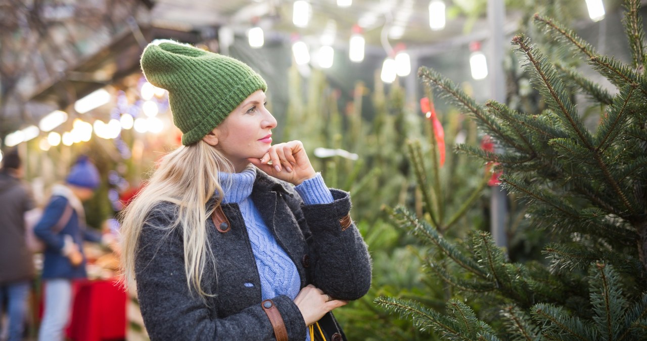 Choinka ogrodowa może być ozdobą domu w czasie świąt i działki przez kolejne lata. Trzeba tylko wybrać odpowiednią roślinę. /123RF/PICSEL