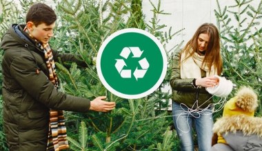 Choinka po świętach – wyrzucić czy oddać? Oto najlepsze rozwiązania!
