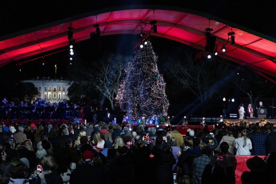 Choinka przed Białym Domem /MICHAEL REYNOLDS    /PAP/EPA