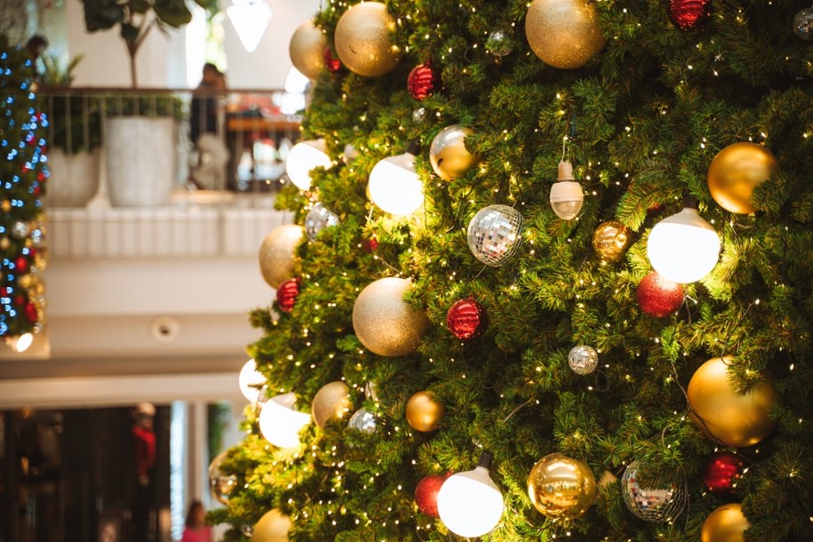 Choinka – rajski symbol, który podbił świat /Shutterstock