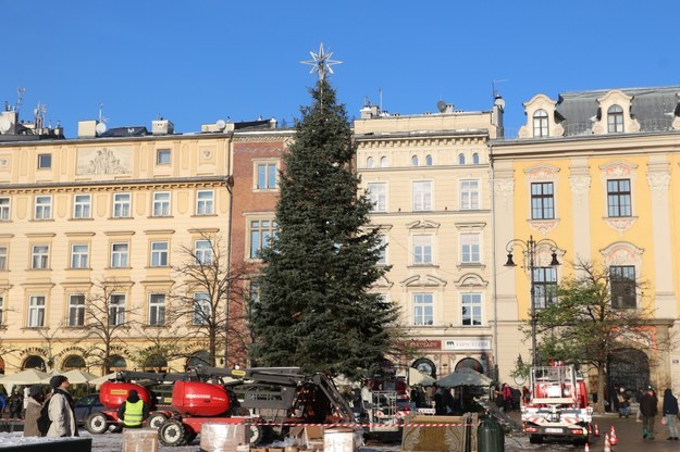 Choinka stoi już w Rynku Głównym. Czeka na udekorowanie /Józef Polewka /RMF FM