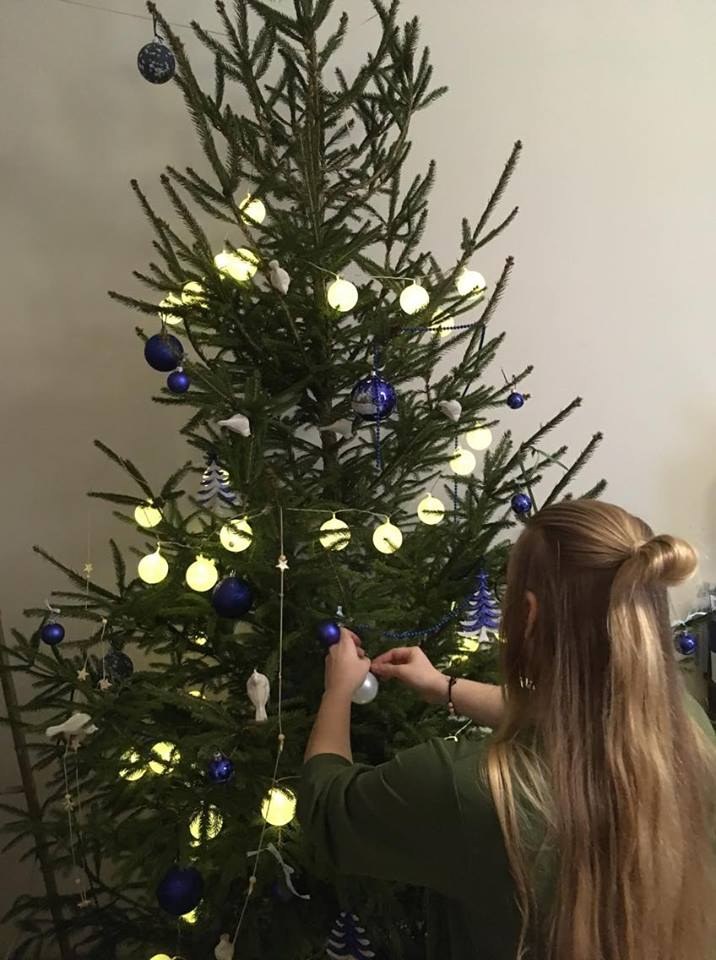 Choinka u państwa Wytykowskich /Mateusz Chłystun /RMF FM