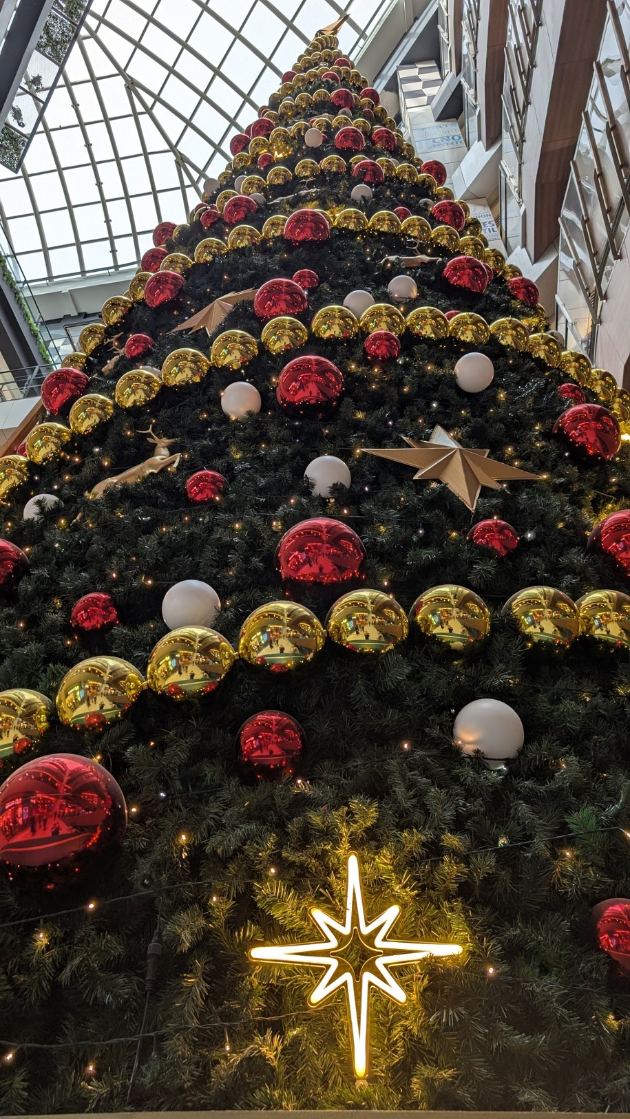 Choinka w centrum handlowym w Santiago de Chile /Fot. Grzegorz Jasiński /RMF FM