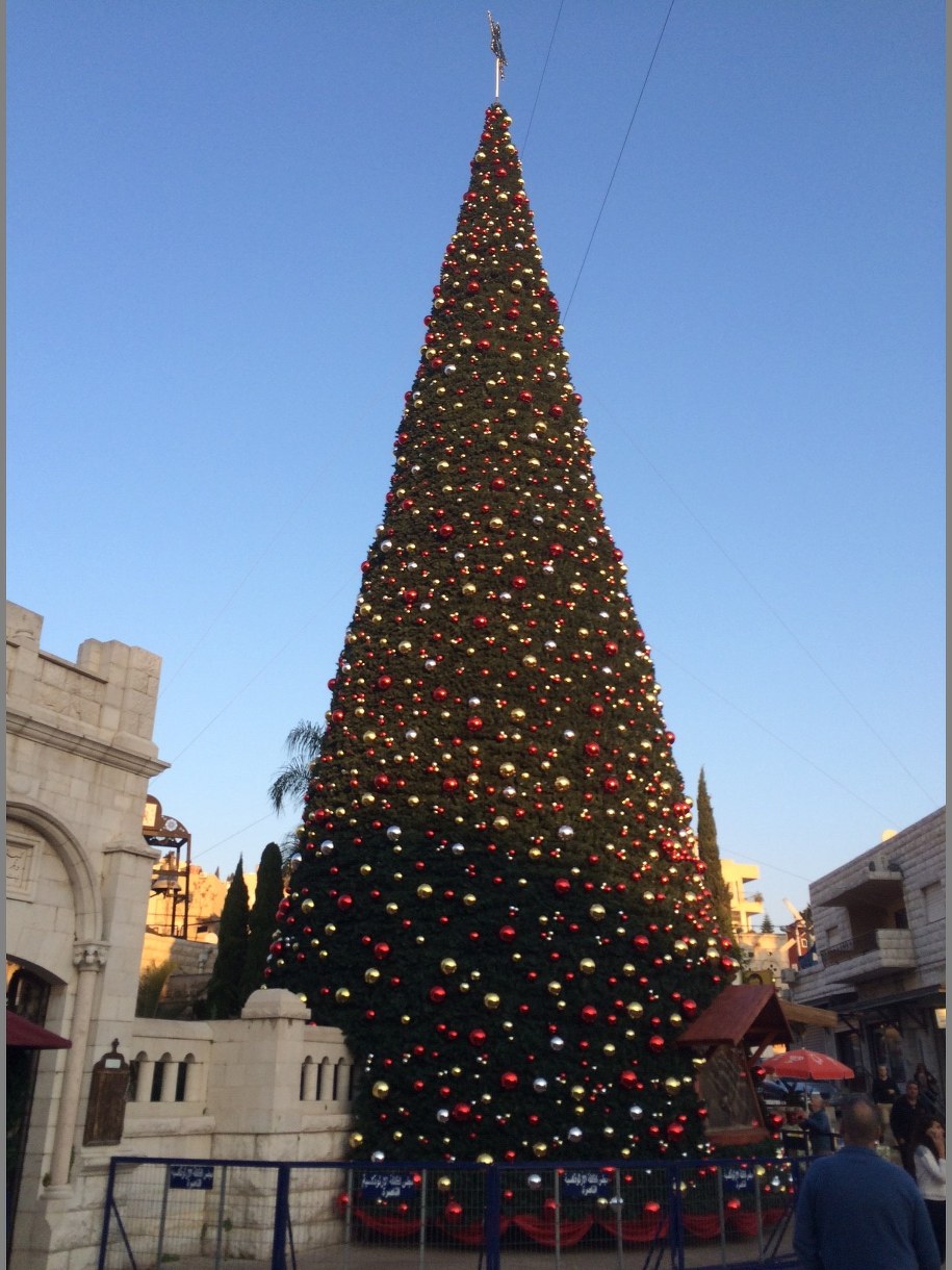 Choinka w Nazarecie /Piotr Bułakowski /RMF FM