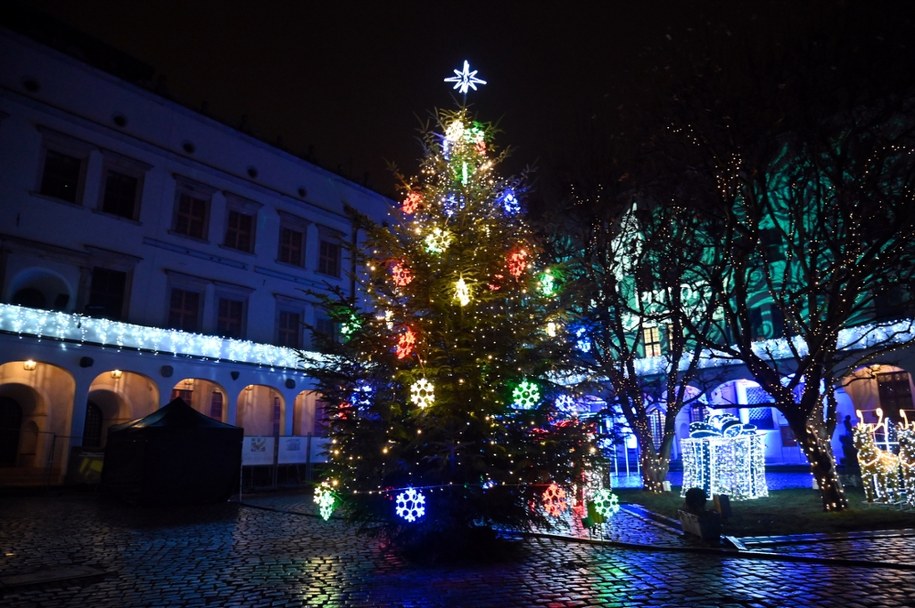 Choinka w Szczecinie - zdjęcie poglądowe /Marcin Bielecki /PAP