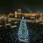 Choinka z krakowskiego rynku uznana za najpiękniejszą na świecie