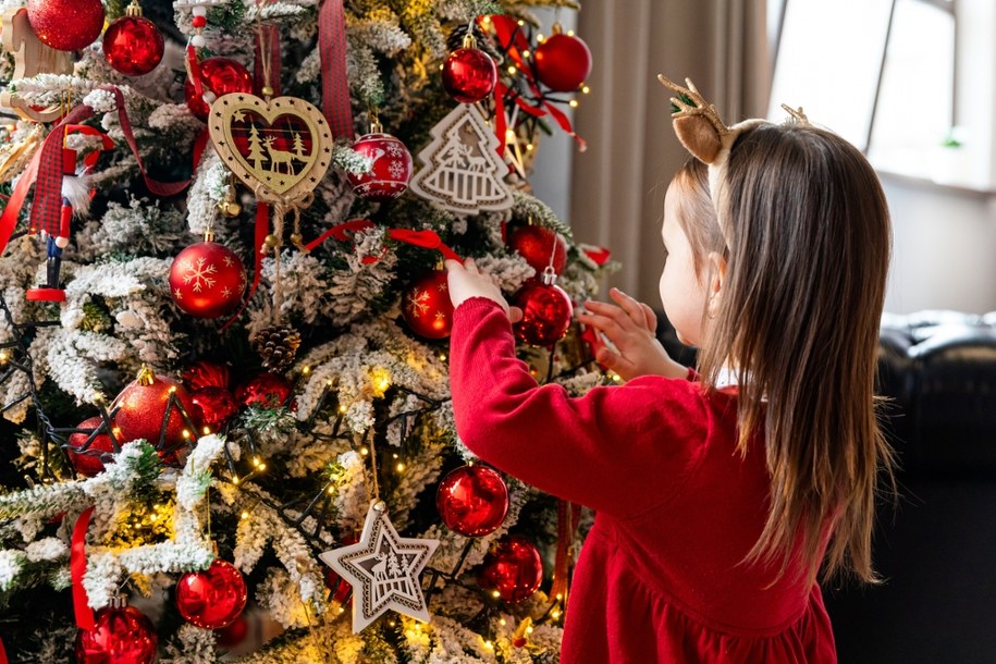 Choinka żywa czy sztuczna? Która jest lepsza dla zdrowia? Odkrywamy prawdę o świątecznych drzewkach /Shutterstock