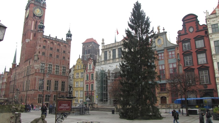 choinka /Kuba Kaługa /RMF FM