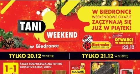 Choinki 50% taniej w Biedronce! /Biedronka /INTERIA.PL