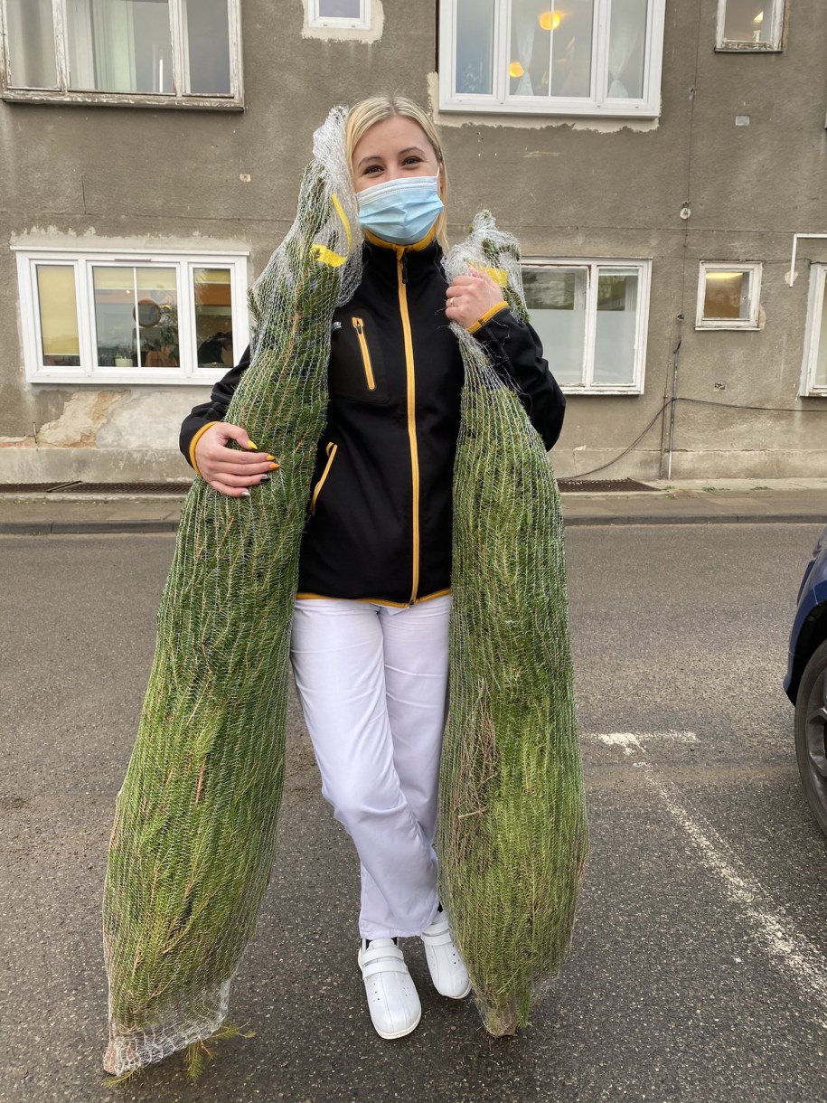 Choinki dla medyków od słuchaczy RMF FM w Szczecinie /Aneta Łuczkowska /RMF FM