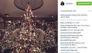 Choinki gwiazd! Zobacz, jak celebryci ozdobili swoje drzewka!