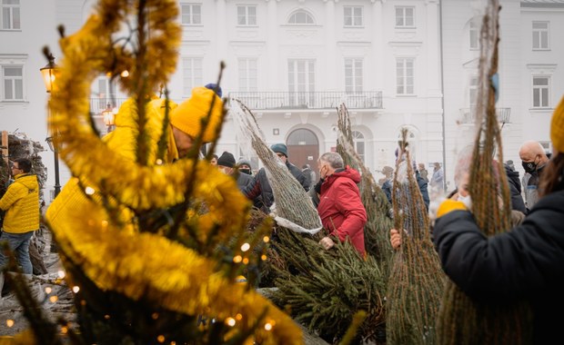 "Choinki pod choinkę". Dziś odwiedziliśmy Płock i Toruń