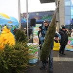 "Choinki pod choinkę". Na początek odwiedziliśmy Katowice!