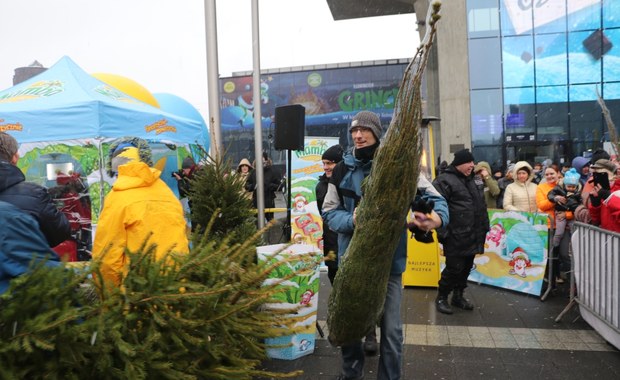 "Choinki pod choinkę". Na początek odwiedziliśmy Katowice!