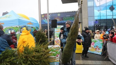 "Choinki pod choinkę". Na początek odwiedziliśmy Katowice!