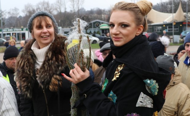 "Choinki pod choinkę" od RMF FM. Dziś byliśmy w Gdyni!