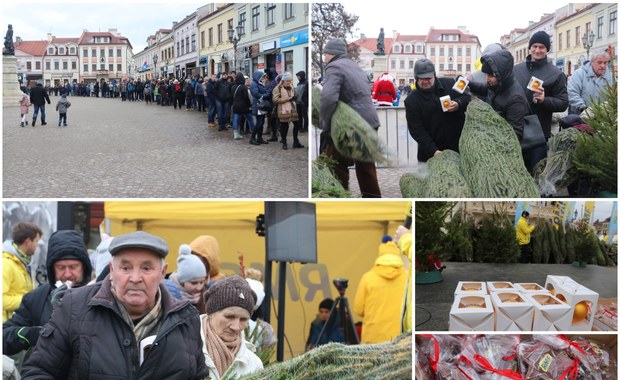 Choinki pod Choinkę od RMF FM: Pachnące świerki trafiły w ręce rzeszowian!