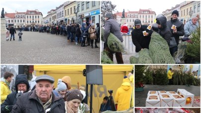 Choinki pod Choinkę od RMF FM: Pachnące świerki trafiły w ręce rzeszowian!