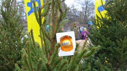 "Choinki pod choinkę" od RMF FM! Startuje nasz świąteczny konwój