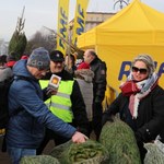 "Choinki pod choinkę" od RMF FM. W Gdyni rozdaliśmy tysiąc drzewek!