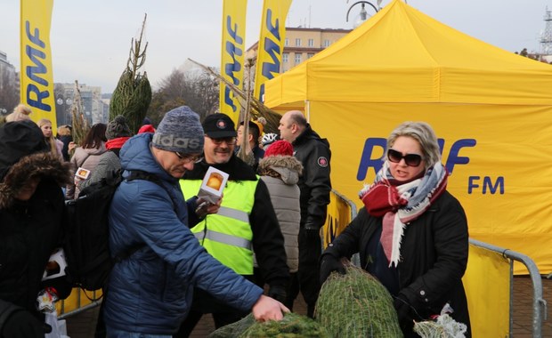 "Choinki pod choinkę" od RMF FM. W Gdyni rozdaliśmy tysiąc drzewek!