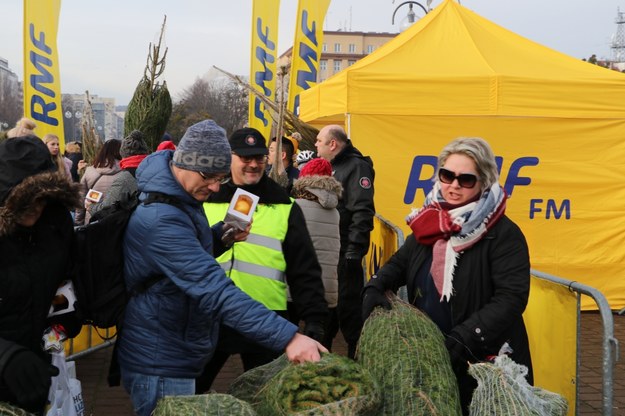 "Choinki pod choinkę" od RMF FM w Gdyni /Jacek Skóra /RMF FM