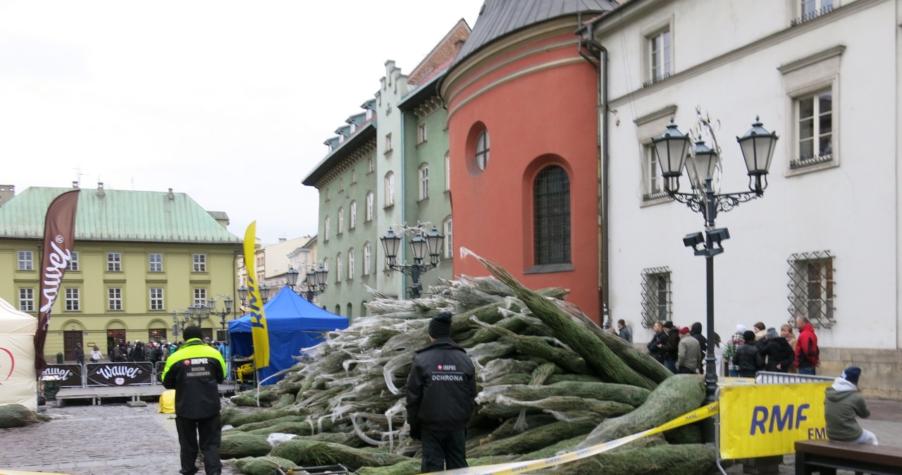 Choinki pod choinkę od RMF FM w Krakowie