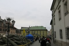 Choinki pod choinkę od RMF FM w Krakowie