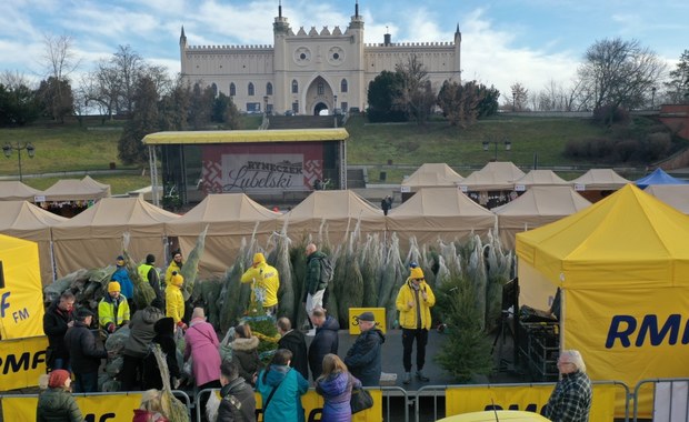 "Choinki pod choinkę" od RMF FM. W Lublinie rozdaliśmy Wam tysiąc drzewek!