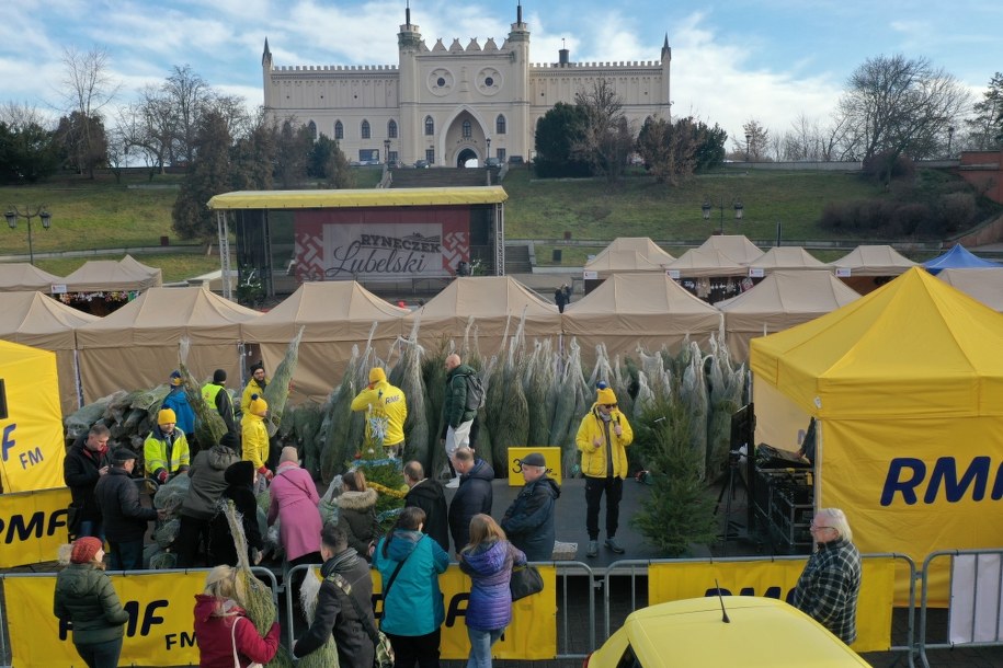 "Choinki pod choinkę" od RMF FM w Lublinie /Jacek Skóra /RMF FM