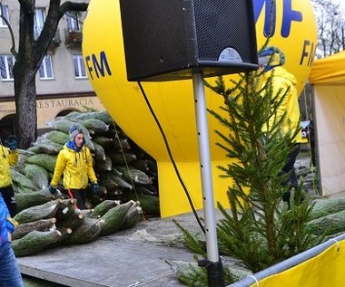 "Choinki pod choinkę" od RMF FM. W sobotę byliśmy w Łodzi