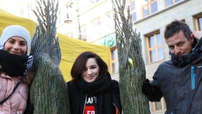 "Choinki pod Choinkę" od RMF FM: We Wrocławiu kolejka nie miała końca!