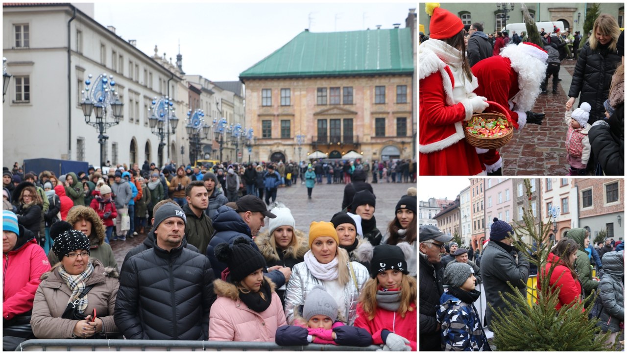 Choinki pod Choinkę od RMF FM: Zielone drzewka zapachniały w Krakowie!