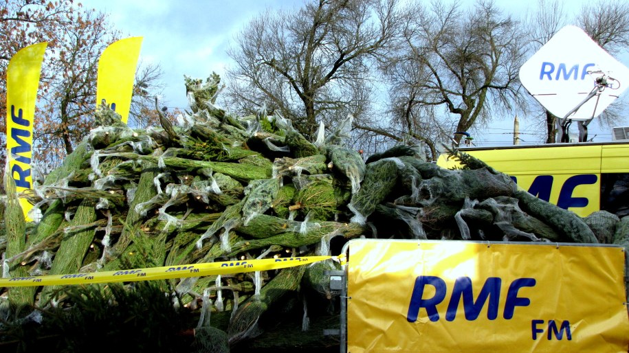 "Choinki pod choinkę" od RMF FM! /Kamil Młodawski /RMF FM