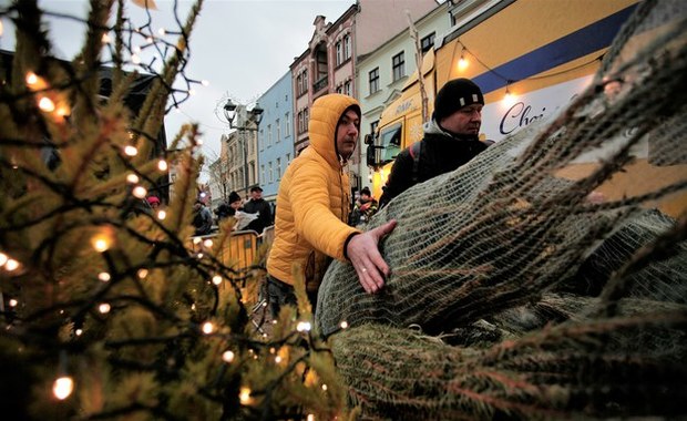 "Choinki pod choinkę". Odwiedziliśmy Gliwice i Kraków 