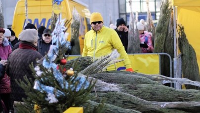 "Choinki pod choinkę". Razem z Antkiem Smykiewiczem byliśmy w Warszawie!