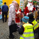 "Choinki pod choinkę". Rozdaliśmy drzewka mieszkańcom Wrocławia