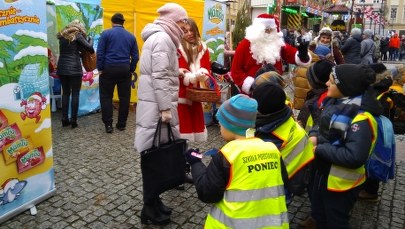 "Choinki pod choinkę". Rozdaliśmy drzewka mieszkańcom Wrocławia