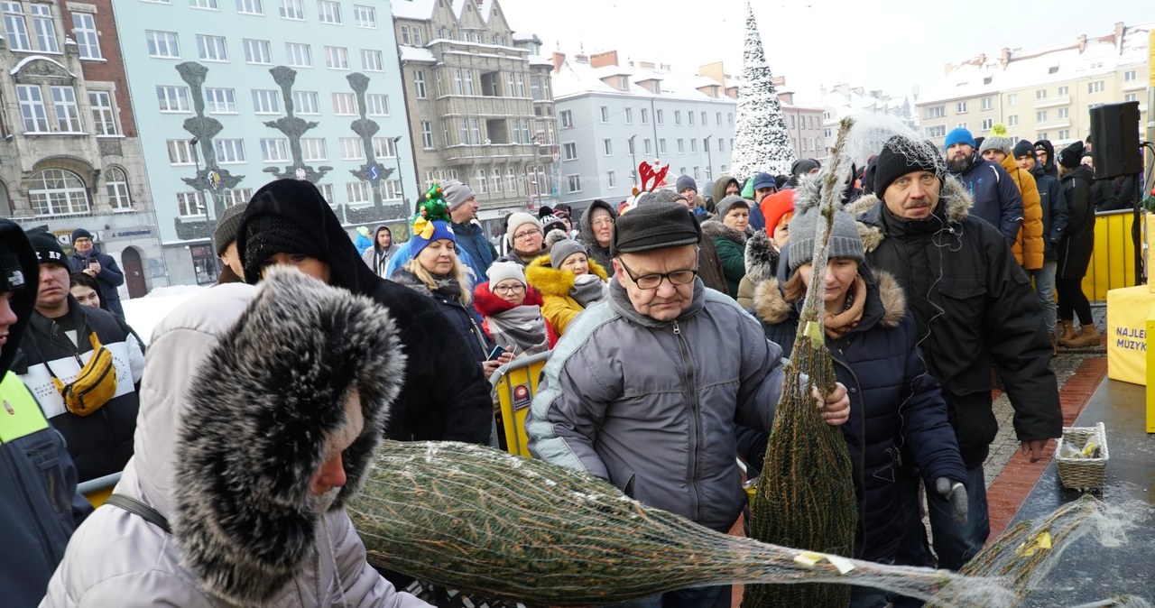 „Choinki pod choinkę” w Bytomiu