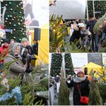 "Choinki pod choinkę" w Katowicach: Wystartował świąteczny konwój RMF FM!