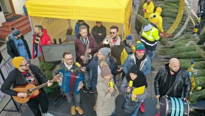 "Choinki pod choinkę". W Olsztynie rozdaliśmy Wam tysiąc drzewek!