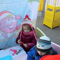 Choinki pod choinkę w Poznaniu 