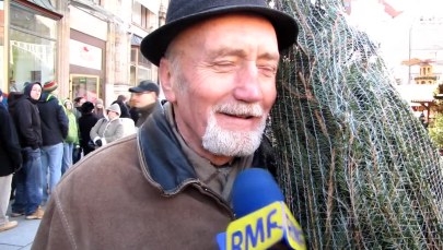 "Choinki pod Choinkę" we Wrocławiu 