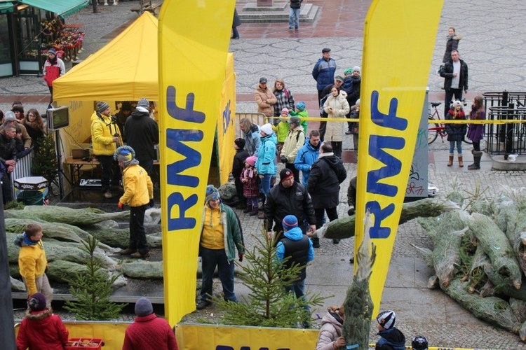 Choinki rozdawaliśmy na Placu Solnym we Wrocławiu /Jacek Skóra /RMF FM