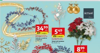 Choinki w sieci Auchan /Auchan /INTERIA.PL