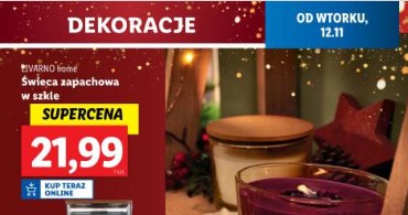 Choinki w sieci Lidl /Lidl /INTERIA.PL