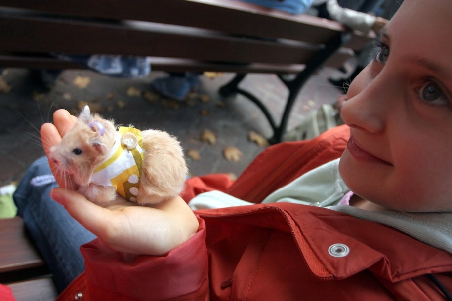 Chomik w koszulce ze swoją właścicielką uczestniczy w III Paradzie Zwierząt /Piotr Polak /PAP