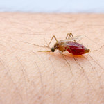 Chore dzieci pomagają stworzyć szczepionkę przeciwko malarii