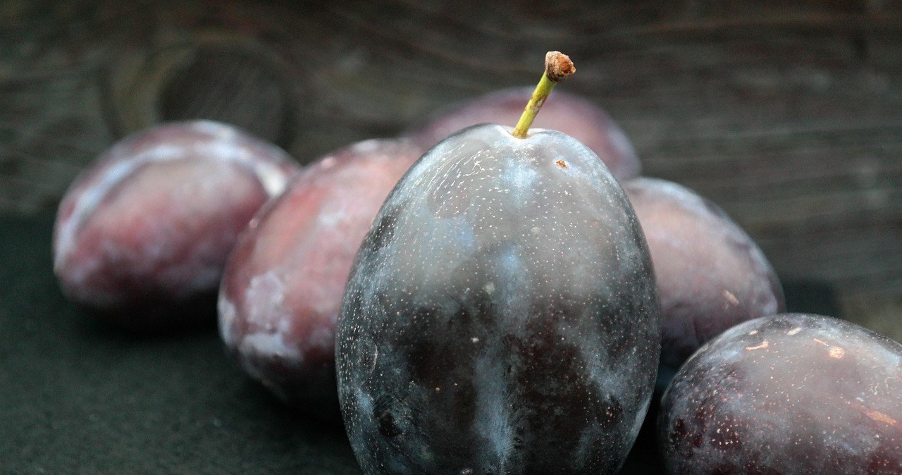 Чорнослив виготовляють з темних слив із щільною м’якоттю та високим вмістом природних цукрів /pixabay.com