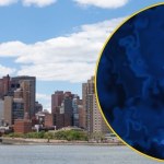 choroba legionistów Choroba legionistów uśmierciła w Nowym Jorku już 7 osób. Odkryto ognisko